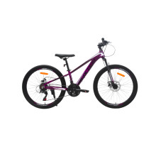 Велосипед CrossBike BOXTER 24